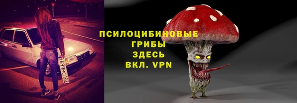 мдпв Магас