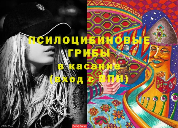 мдпв Магас