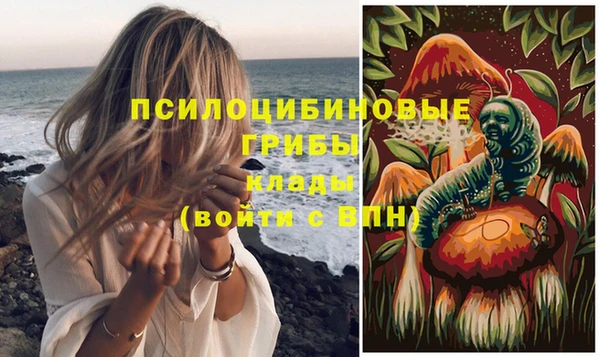 мдпв Магас