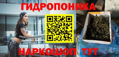 ALPHA PVP Аргун