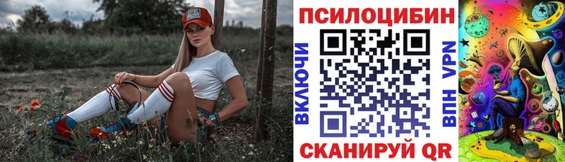 как найти закладки  Белореченск  Псилоцибиновые грибы мицелий 