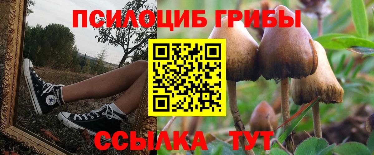 Галлюциногенные грибы GOLDEN TEACHER Белореченск