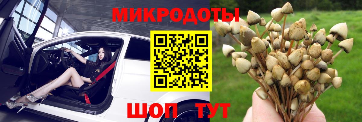 Псилоцибиновые грибы мухоморы  Галлюциногенные грибы ЛСД  Белореченск  Вход с VPN 