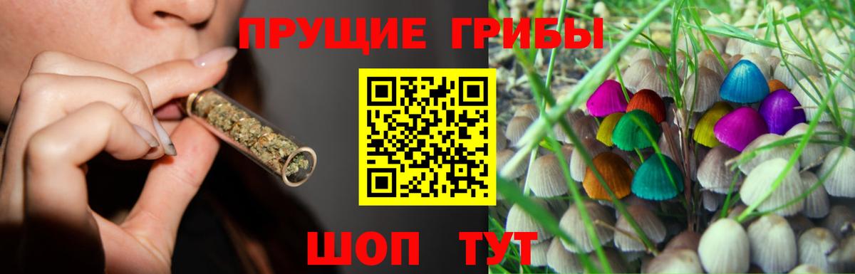 Псилоцибиновые грибы MAGIC MUSHROOMS Белореченск